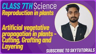 Reproduction in Plants Artificial Vegetative Propagation in plants Cutting grafting layering [upl. by Turpin]