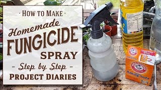 ★ How to Make Cheap Homemade Fungicide Complete Step by Step Guide [upl. by Dumond]