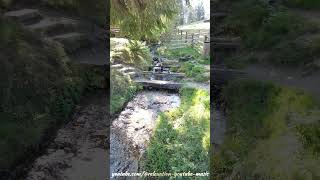 Nature sounds  Part 7  The Best Relaxation and Meditation YouTube Channel [upl. by Zucker586]