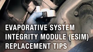 Evaporative System Integrity Module ESIM Replacement Tips [upl. by Criswell]