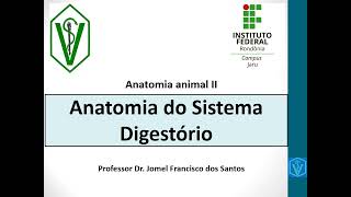 Anatomia do Sistema Digestório Dos Animais Monogástricos e Poligástricos  Parte 01 [upl. by Lovato]