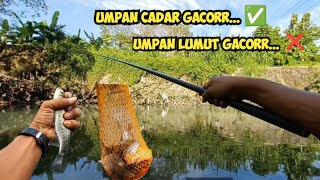 🟡Jangan sampai salah umpan mancing dispot ini TKM78 [upl. by Dew456]