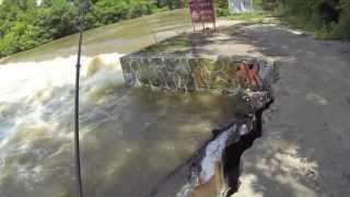 Flood Fishing for Smallies and Carp at the Olentangy River [upl. by Annahs]