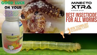 Minecto Xtra Insecticide Syngenta LCI for Leaf folder fall army worm pink bollworm kissanghar [upl. by Ahsinev258]