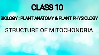 Structure of Mitochondria  Plant anatomy and plant physiology  Class 10  Biology  Tamil [upl. by Notfilc815]