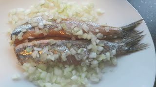 Dutch New Herring 2024  Hollandse Nieuwe 2024  Jan Tom Yam [upl. by Vergil322]