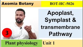 L3 apoplastsymplast and transmembrane Plant Physiology Dr Rajib BorahBsc Botany Axomia Botany [upl. by Yerga]