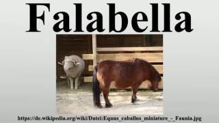 Falabella [upl. by Laurens958]