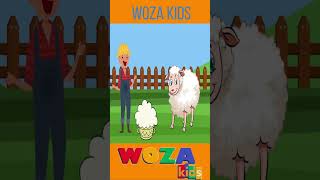 Baa Baa Black Sheep Song  Kids Song [upl. by Krefetz]