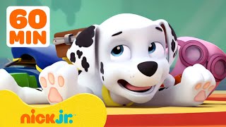 PAW Patrol Marshalls Silliest Moments 🤭 1 Hour Compilation  Nick Jr [upl. by Juni746]