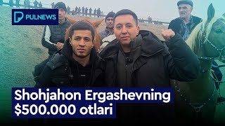 Shohjahon Ergashovni 500000 lik otlari exclusive [upl. by Fosdick998]