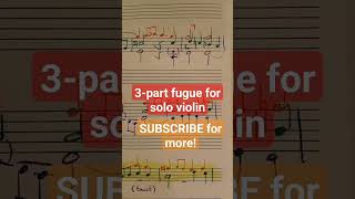 Fuga Solo Violin Sonata 3 bach soloviolin violinsonata fuga fugue bwv1005 shorts analysis [upl. by Nata]