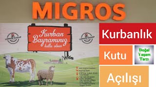 Migros Kurbanlık Kolisi Açılışı 2020 [upl. by Ahsael]