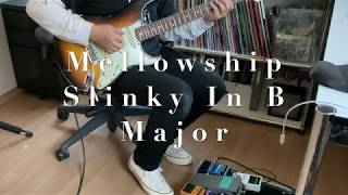 RED HOT CHILI PEPPERS Mellowship Slinky In B Major 2020 [upl. by Enatan104]