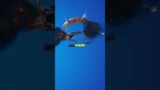 Top 5 Rarest Fortnite Gliders You Need fortnite fornitemares fortniteglitch gaming fortniteclip [upl. by Ramedlaw16]