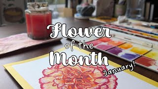 Painting a January Carnation in watercolour Flower of the Month 🌸 [upl. by Peednam]