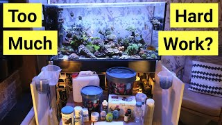 Watch This Before You Get A Saltwater Aquarium  FULL Maintenance Rundown [upl. by Armahs]