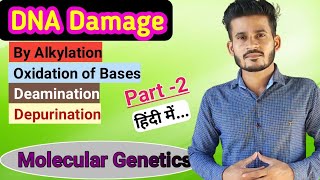 DNA Damage and Repair  Part 2  हिंदी में  MSc  CSIR NET  GATE [upl. by Nielsen]