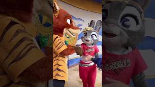 Nick amp Judy in NEW Outfits FUNNY Disney Characters disneyparks disney zootopia [upl. by Busey]