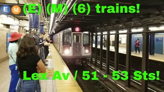 MTA NYC Subway E M 6 trains at Lexington Ave  51  53 Sts [upl. by Vitalis816]