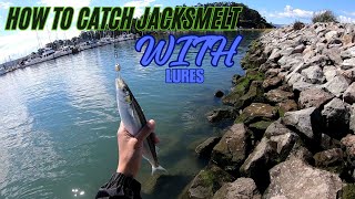 Lure Fishing for Jacksmelt in The San Francisco Bay Easy Tips [upl. by Trotter]