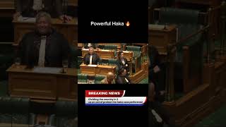 Powerful Haka in Parliament [upl. by Fondea]