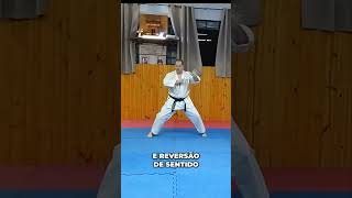 Domine a Mudança de Direção e o Ritmo no Kata BDK  Karate Gabriche karate martialarts [upl. by Htebezile72]