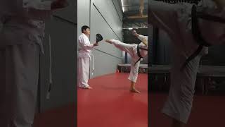 Mawashi geri karate [upl. by Alicea]