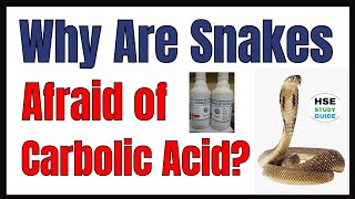 Why Are Snakes Afraid of Carbolic Acid  HSE STUDY GUIDE [upl. by Bosson802]