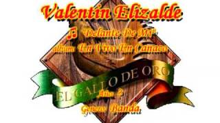 Delante De Mi  Valentin Elizalde [upl. by Artinek]