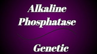 Alkaline Phosphatase  Genetic Engineering  by Pooja Jaiswal [upl. by Adniralc]