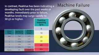 PeakVue InfoGraphic Animation [upl. by Notneiuq897]