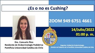 ¿Es o no es Cushing [upl. by Niliac960]