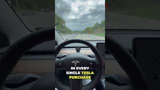 Incredible 🚗 Tesla Autopilot Is It Truly Safe 🤔 [upl. by Snow371]