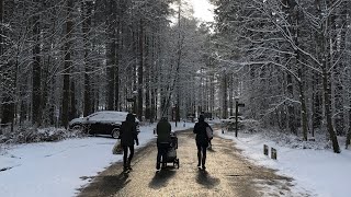 Center Parcs Elveden Forest 2018  Day 1 [upl. by Iggie537]