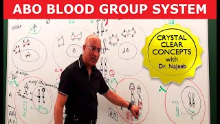 ABO Blood Group System  Blood Types amp ABO Antigens👨‍⚕️ [upl. by Evars]