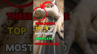 Top 5 weird animals in the world shorts viralvideo [upl. by Giliana]