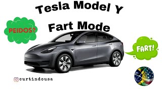 PEIDOS TESLA MODEL Y  FART MODE [upl. by Sheehan]