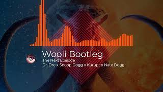 Dr Dre amp Snoop Dogg  The Next Episode Wooli Bootleg Better Quality [upl. by Topping]