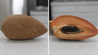 How to Eat Mamey Sapote Pouteria Sapota  Taste Test [upl. by Arima]