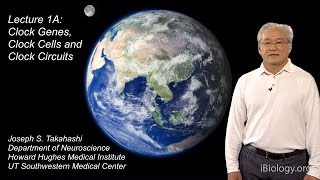 Joseph Takahashi UT SouthwesternHHMI Part 1A Circadian Clocks Clock Genes Cells and Circuits [upl. by Amat931]