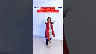 Chunari Chunari Dance Tutorial  Wedding Choreography  Laveena Ashish dancetutorial [upl. by Yrolam755]