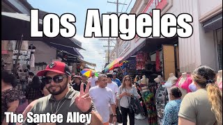 The Santee Alley Downtown Los Angeles California 🇺🇸 4K 60fps Walk Street Scenes September 2022 [upl. by Calvina]