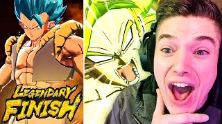 WHAT NEW LF Gogeta Blue amp LF DBS Broly Reaction on Dragon Ball Legends [upl. by Anthea]