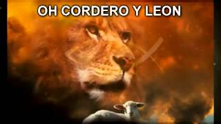 CORDERO Y LEON NEW WINE LETRA [upl. by Llenrac]