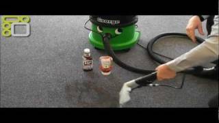 Numatic George Vacuum GVE3702 Vacuum Cleaner Demonstration [upl. by Flinn]