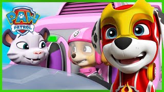 Pups rescue Tracker and the Monkeys in the Jungle  PAW Patrol  Cartoons for Kids Compilation [upl. by Kristof117]