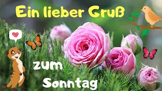 Guten Morgen Gruß für dich ☕️ Guten Morgen 💕 Ein lieber Gruß zum Sonntag für Dich💌 [upl. by Carlick282]