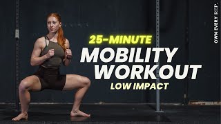 25 Min Full Body Mobility Workout  Low Impact  BeginnerIntermediate [upl. by Oemac]