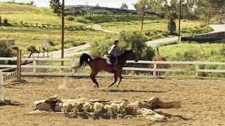 SOLOSHOT3  Equestrian Filmed with Optic65 Camera [upl. by Aisekal]